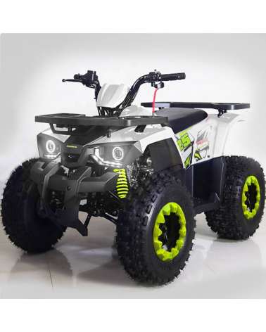 Quad Hunter Pro 125cc - Ruota 8''