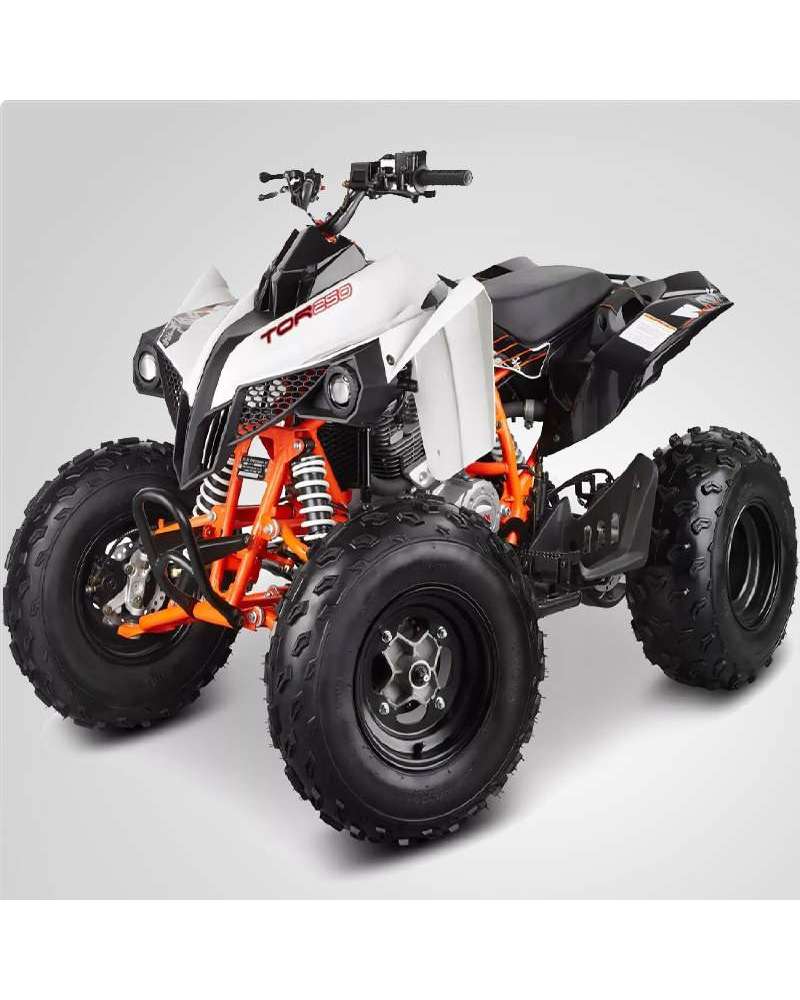 Maxi Quad Kayo Tor 250cc