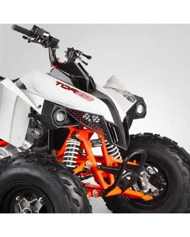 Maxi Quad Kayo Tor 250cc - Dettaglio Frontale