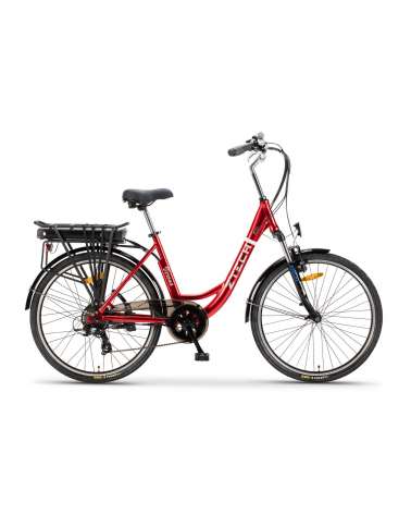 Bici Elettrica VERONA Z-Tech - Litio 36V 9Ah 250W 26” E-Bike