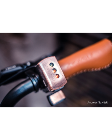 E-Bike Bicicletta Elettrica Rayvolt Cruzer V3
