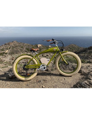 E-Bike Bicicletta Elettrica Rayvolt Beachin'
