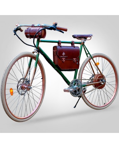 E-Bike Bicicletta Elettrica Rayvolt Ambassador