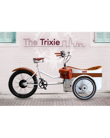 E-Bike Bicicletta Elettrica Trike Rayvolt Trixie