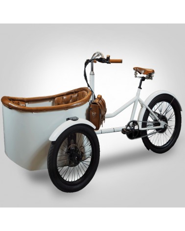 E-Bike Bicicletta Elettrica Trike Rayvolt Trixie