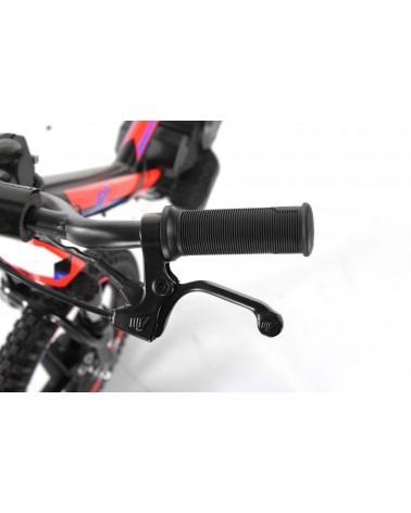 NUOVA V2 Balance FACTORY 2022 - E-Bike Mini Moto Elettrica 16 Pollici 250w 24v