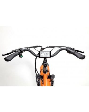 Bici Trike Elettrica ZT-80A Mini Trailer ZTECH 250W 48V 13Ah
